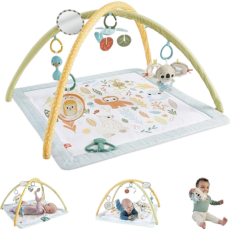 Fisher Price Simply Senses Newborn Gym